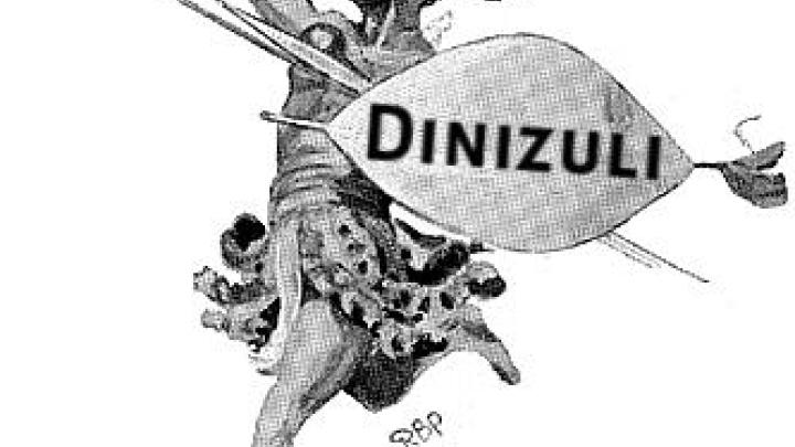 Dinizuli logo